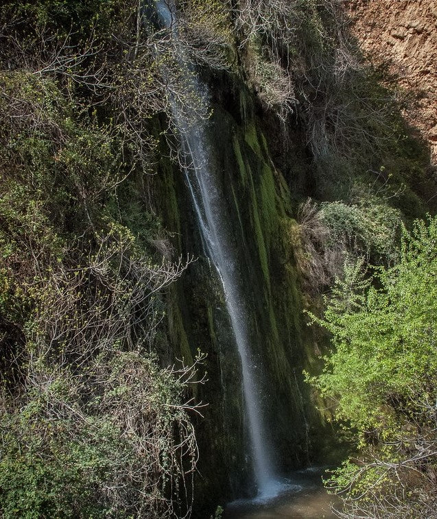 Barranco del Nacimiento