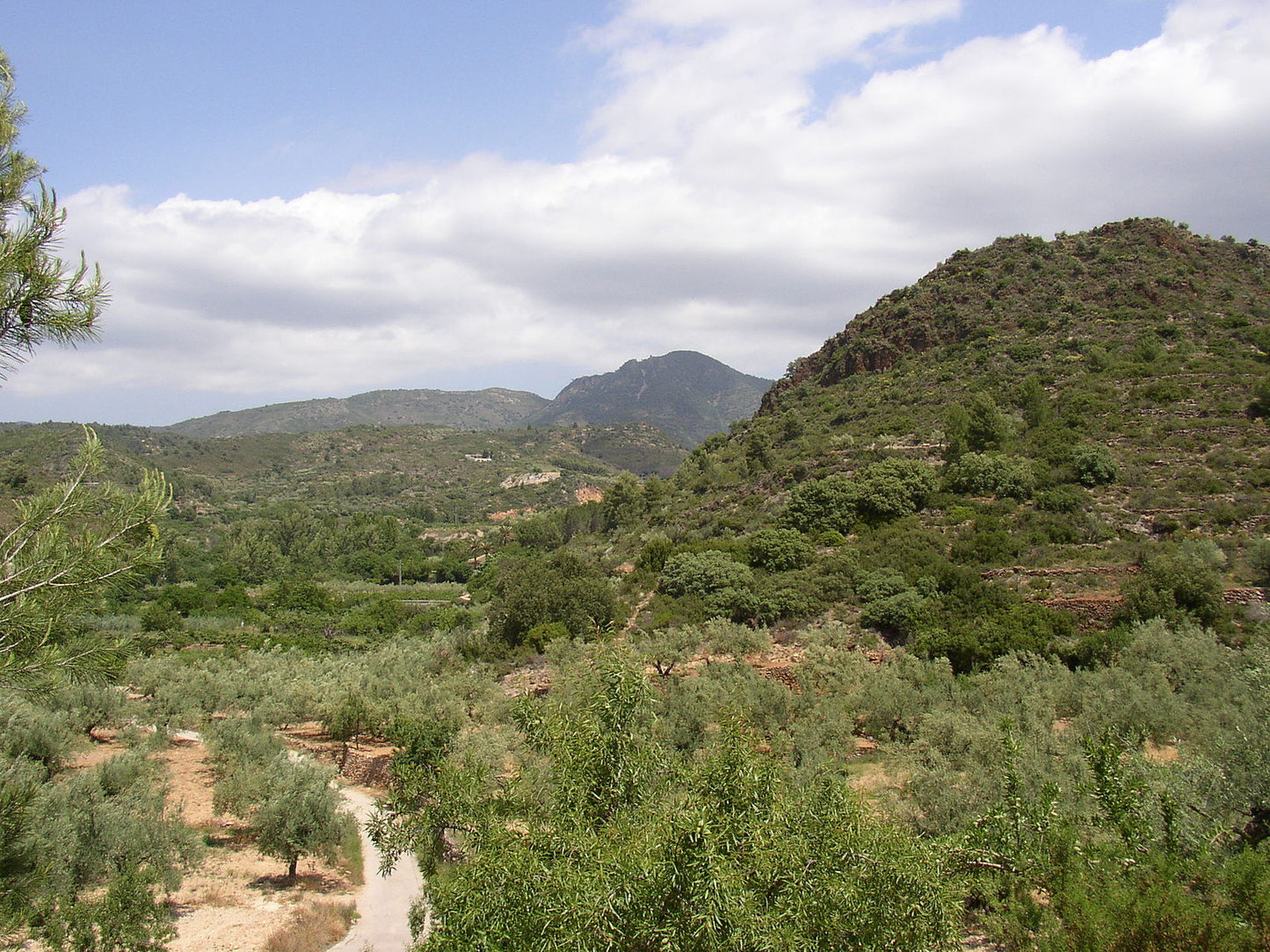 Trekking por la Sierra de Espadán