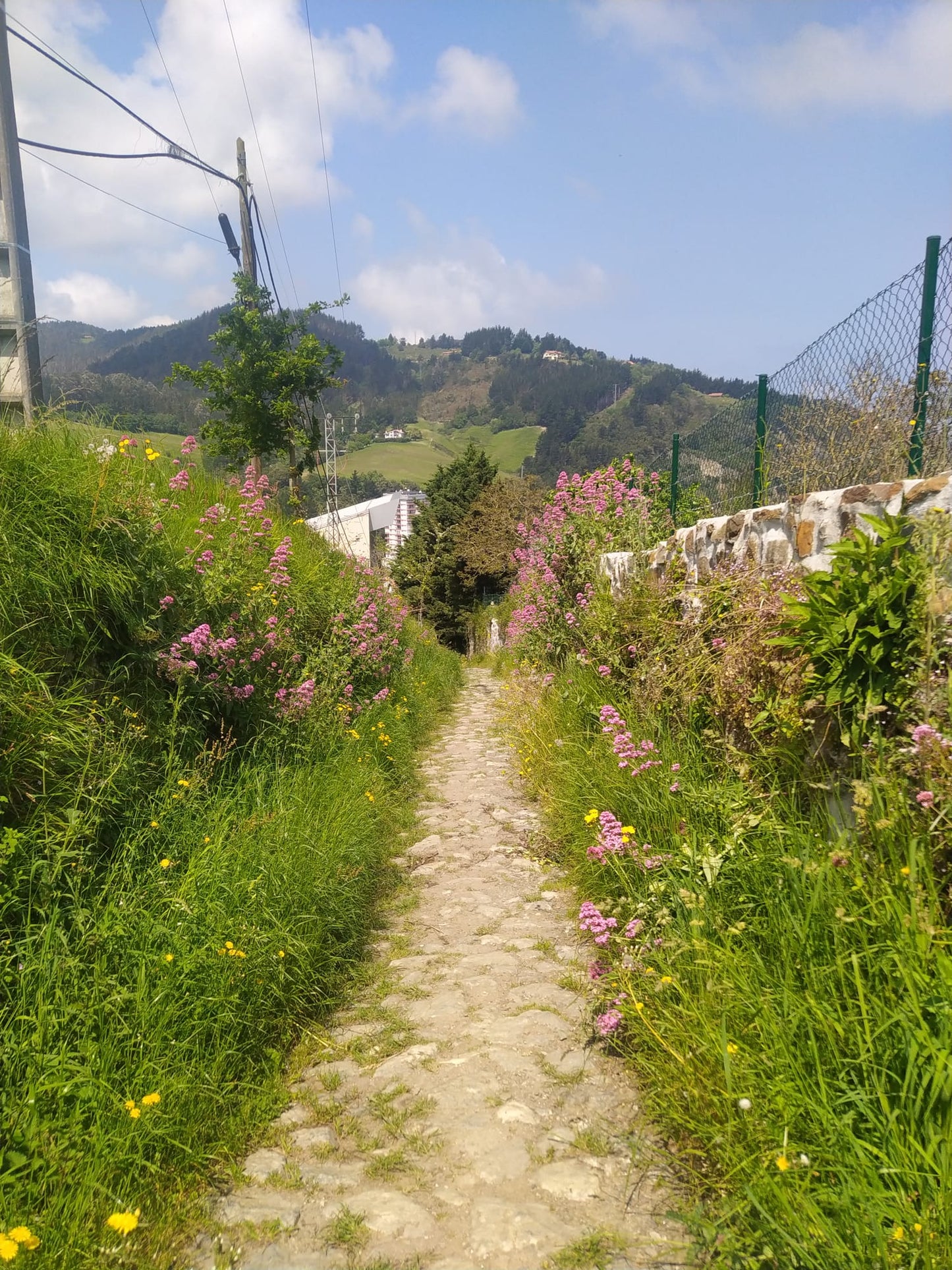 Camino de Santiago