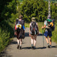 Camino de Santiago