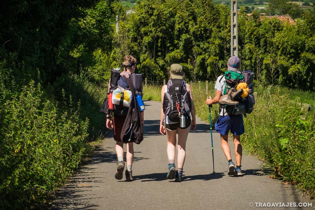 Camino de Santiago