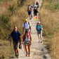 Camino de Santiago