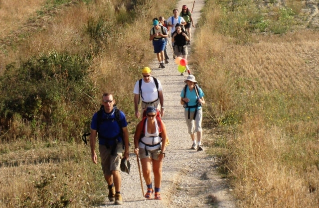 Camino de Santiago